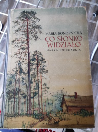 Zdjęcie oferty: Co słonko widziało 