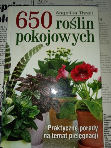 Zdjęcie oferty: 650 ROŚLIN POKOJOWYCH - ANGELIKA THROLL