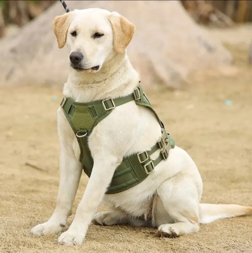 Zdjęcie oferty: Szelki dla psa taktyczne rozm. L wojskowa zieleń