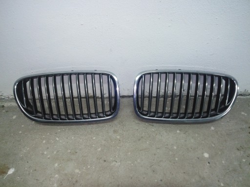 Zdjęcie oferty: Oryginalne nerki grill BMW F10