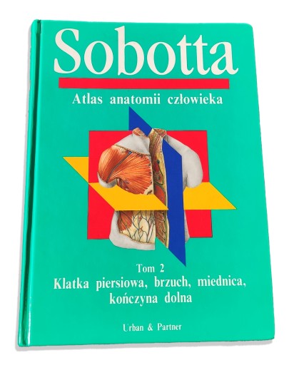 Zdjęcie oferty: Sobotta Atlas anatomii człowieka Tom 2