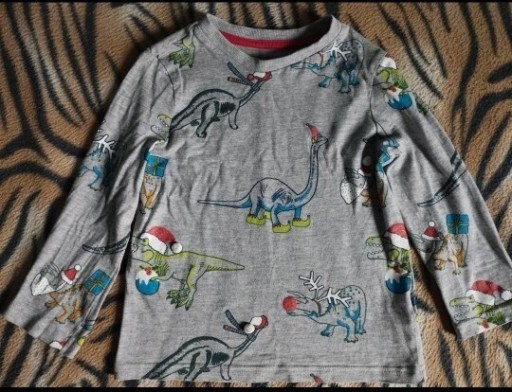 Zdjęcie oferty: Bluzka bluzeczka koszulka dinozaury dino 98/104