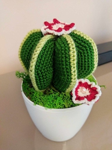 Zdjęcie oferty: Ręcznie robiony kaktus