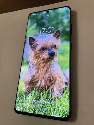 Zdjęcie oferty: Samsung s21 ultra 5G Zablokowany/uszkodzony aukcja