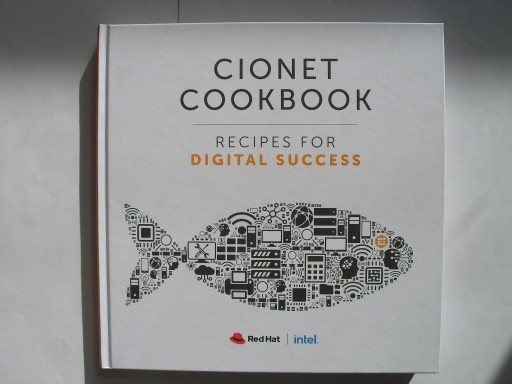 Zdjęcie oferty: CIONET Cookbook: Recipes for Digital Success