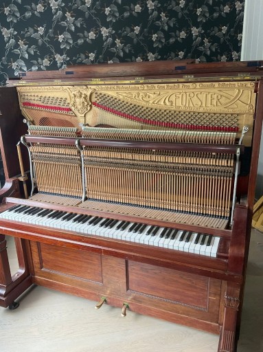 Zdjęcie oferty: Strojenie pianin i fortepianów