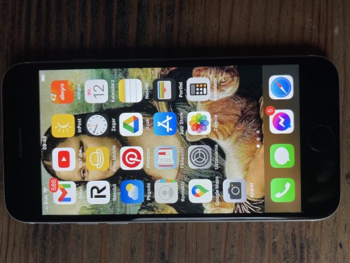 Zdjęcie oferty: Telefon Apple iPhone SE 2020