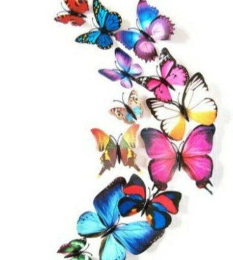 Zdjęcie oferty: Motyle 3d. Naklejki, magnesy. 12 sztuk.