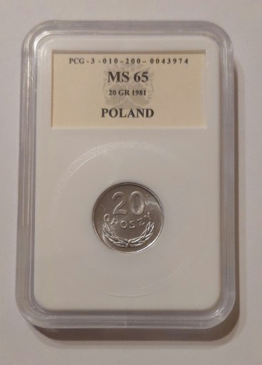 Zdjęcie oferty: 20 groszy 1981 PRL (st.1)