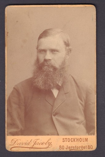 Zdjęcie oferty: Skandynawski brodacz