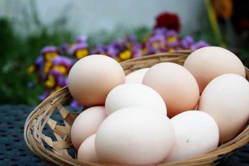 Zdjęcie oferty: jaja wiejskie 10szt