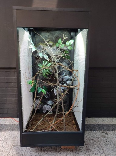 Zdjęcie oferty: Terrarium dla kameleona 50x50x100