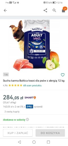 Zdjęcie oferty: Baltica salmon hypoallergenic 9,5kg XS/S