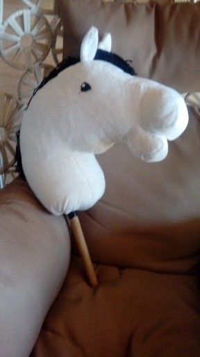 Zdjęcie oferty: Hobby horse 