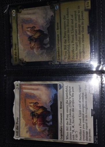 Zdjęcie oferty: Bill the pony - MTG (454-foil)