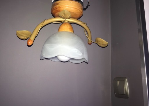 Zdjęcie oferty: Lampa Kinkiet Żylandor 