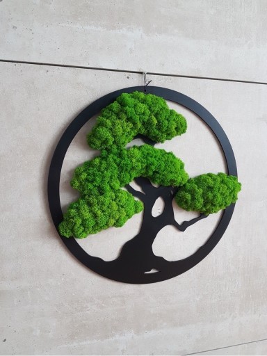 Zdjęcie oferty: Drzewko bonsai z mchu chrobotka 30 cm czarne