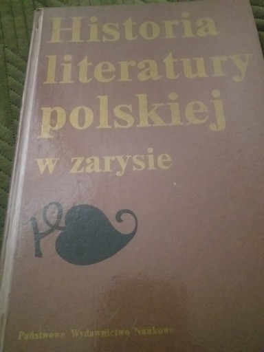 Zdjęcie oferty: Historia literatury polskiej w zarysie HIT