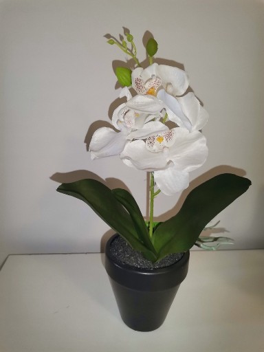 Zdjęcie oferty: Storczyk, Orchidea biały stuczny 31cm, Nowe