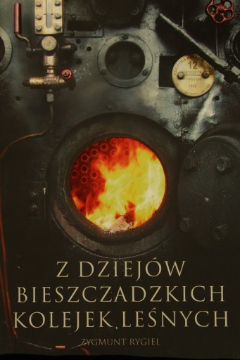 Zdjęcie oferty: książka 