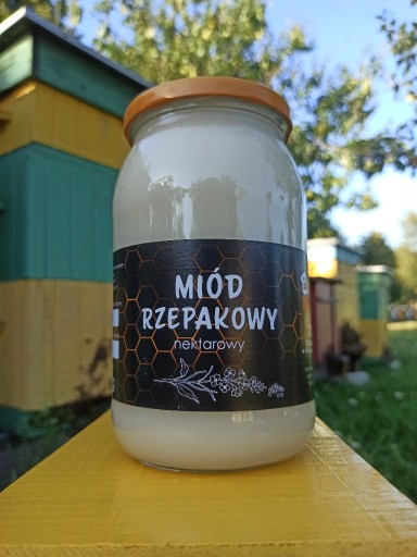 Zdjęcie oferty: Miód Rzepakowy 1.2kg