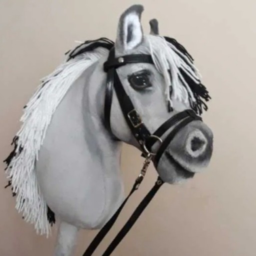 Zdjęcie oferty: Hobby horse A4 hobby horse