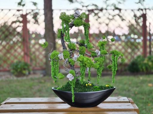 Zdjęcie oferty: Drzewo XL Bonsai Mech Chrobotek Dekoracja Długowieczne Dom Prezent