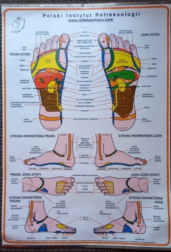Zdjęcie oferty: Tablica poglądowa refleksologia stóp