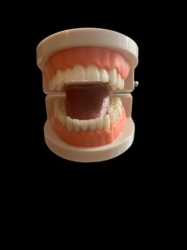 Zdjęcie oferty: Model jamy ustnej z ruchomym językiem, szczęka 