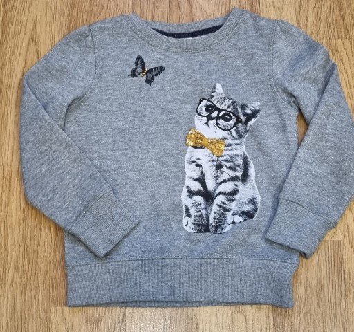 Zdjęcie oferty: Bluza dziewczęca Palomino r 110