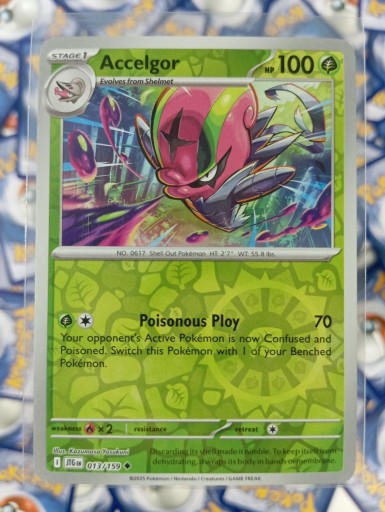 Zdjęcie oferty: Accelgor 013/159 Reverse Holo Pokémon TCG Angielska