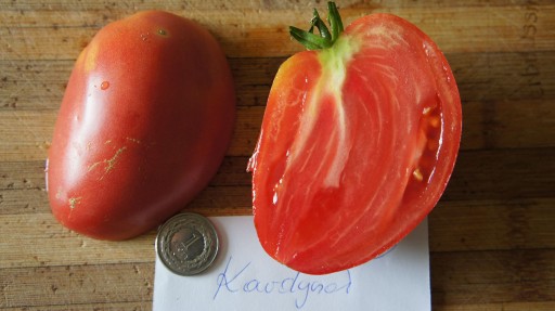 Zdjęcie oferty: Pomidor Kardynał- sadzonka