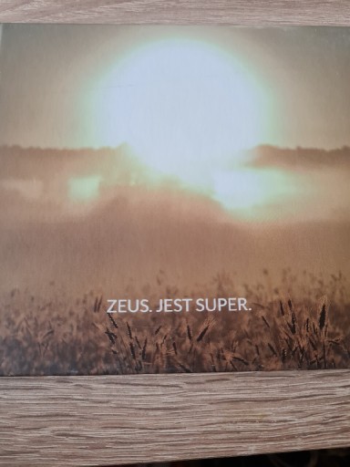 Zdjęcie oferty: ZEUS. Jest super.