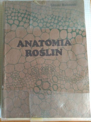 Zdjęcie oferty: Edmund Malinowski - Anatomia roślin