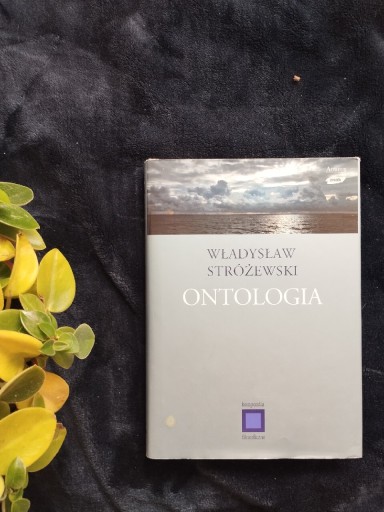 Zdjęcie oferty: Ontologia. Władysław Stróżewski