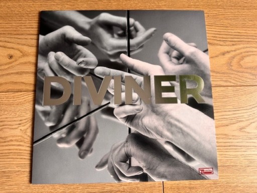 Zdjęcie oferty: HAYDEN THORPE Diviner LP NM [WILD BEASTS]