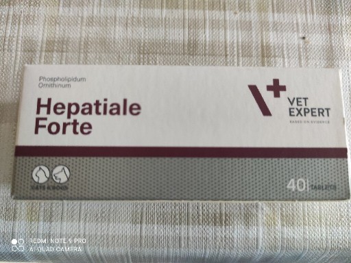 Zdjęcie oferty: Hepatilale forte tabletki