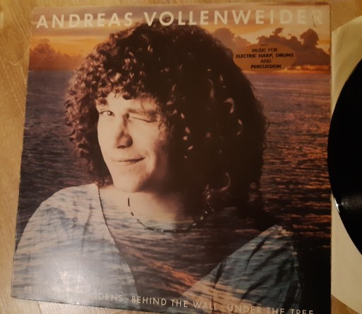 Zdjęcie oferty: Andreas VOLLENWEIDER: Behind the Gardens; LP