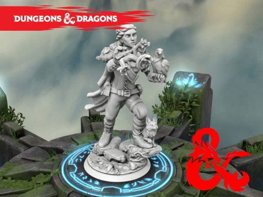Zdjęcie oferty: Dungeons and Dragons - Figurka Bohatera - Druid