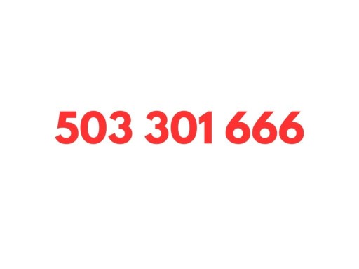 Zdjęcie oferty: 503 301 666 STARTER ORANGE KARTA SIM GSM PREPAID ZŁOTY PROSTY ŁATWY NUMER