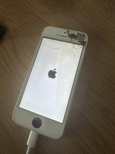 Zdjęcie oferty: iPhone SE 2016 zloty