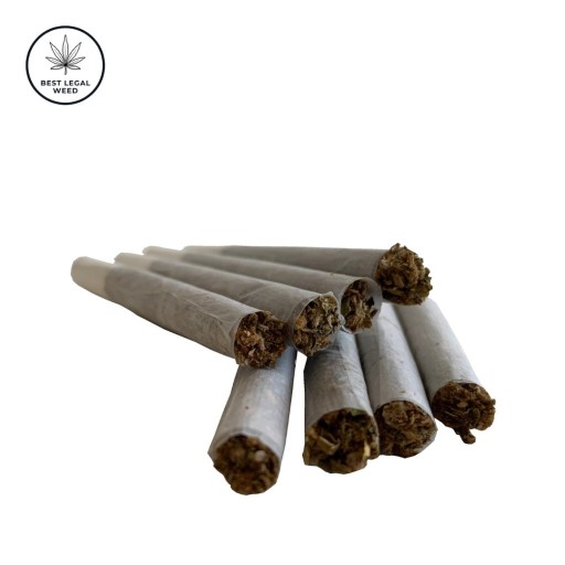 Zdjęcie oferty: 10x Joint CBD Jack Herer 49% fajka blant skręt beznikotynowy szlug