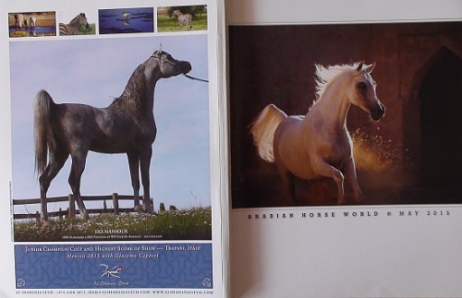 Zdjęcie oferty: ARABIAN HORSE WORLD nr 5/2015, koń, konie arabskie