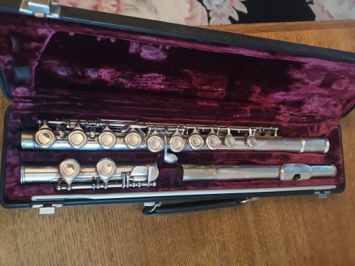 Zdjęcie oferty: Flet poprzeczny BUFFET Crampon Cooper 228 w stanie dobrym