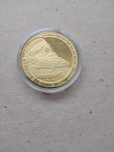 Zdjęcie oferty: SANDACZ - 10 złotych rybek - Ryby Polskich Akwenów