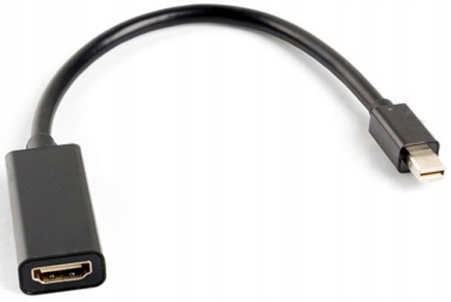 Zdjęcie oferty: Adapter Lanberg AD-0005-BK mini DisplayPort DP (M)