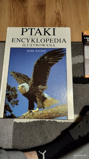 Zdjęcie oferty: Ptaki encyklopedia ilustrowana
