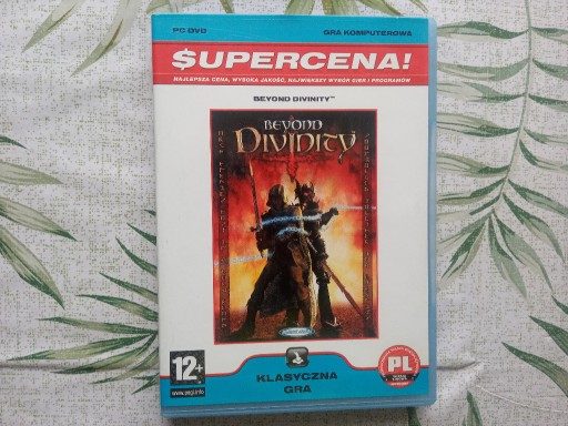 Zdjęcie oferty: BEYOND DIVINITY PC