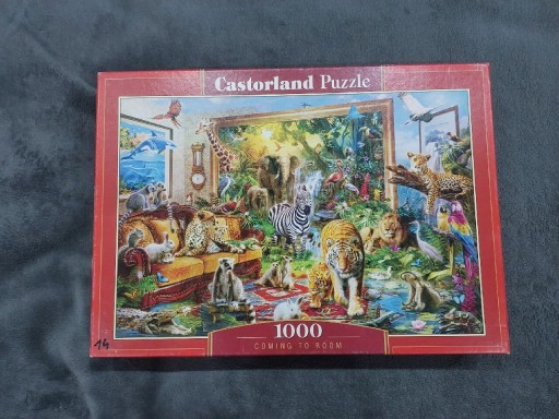 Zdjęcie oferty: Puzzle 1000: Coming to room #14