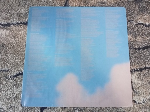 Zdjęcie oferty: Dire Straits -Brothers in Arms wkładka do Lp